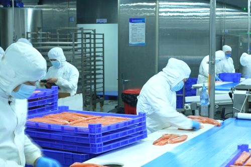 新疆真的產(chǎn) 海鮮 請(qǐng)隨記者到天山看一看 圖說(shuō)新聞